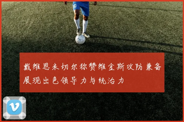 戴维恩米切尔称赞维金斯攻防兼备展现出色领导力与统治力