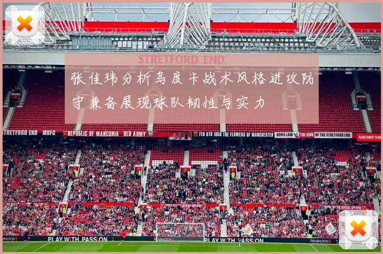 张佳玮分析乌度卡战术风格进攻防守兼备展现球队韧性与实力