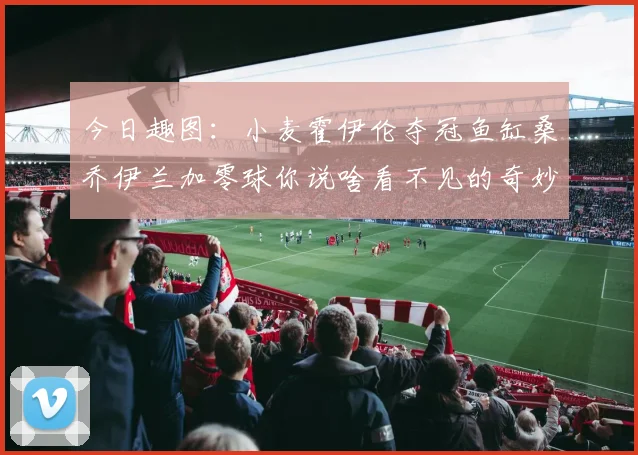 今日趣图：小麦霍伊伦夺冠鱼缸桑乔伊兰加零球你说啥看不见的奇妙瞬间