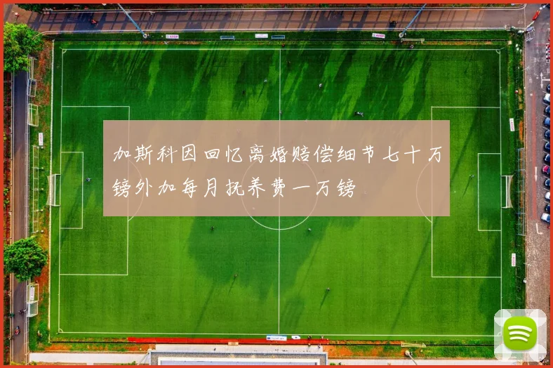 加斯科因回忆离婚赔偿细节七十万镑外加每月抚养费一万镑