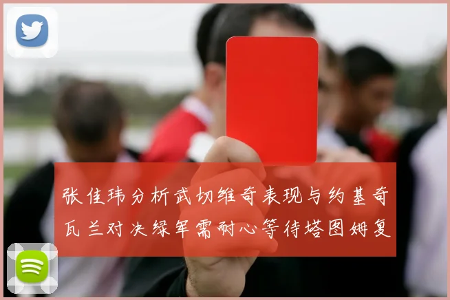 张佳玮分析武切维奇表现与约基奇瓦兰对决绿军需耐心等待塔图姆复出