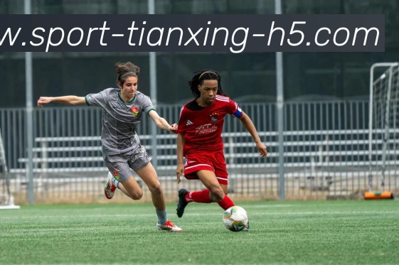 天行体育平台生态图