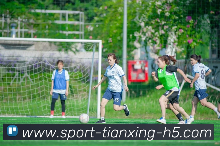 天行体育APP 封面图